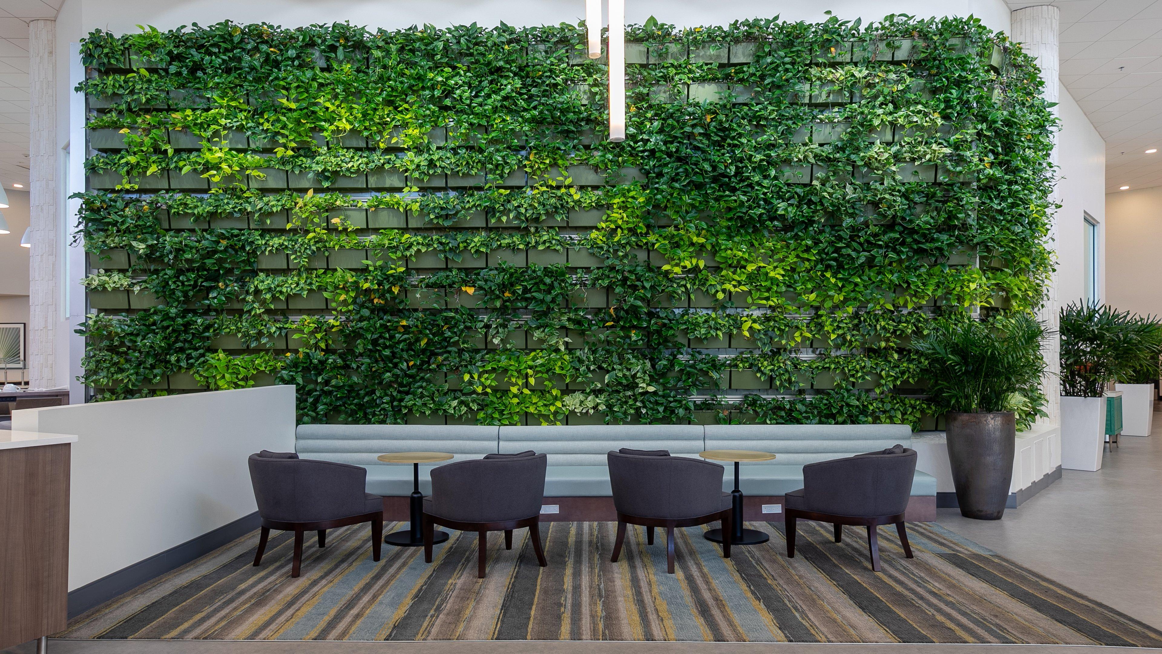 Holiday Inn Panama City By Ihg מראה חיצוני תמונה